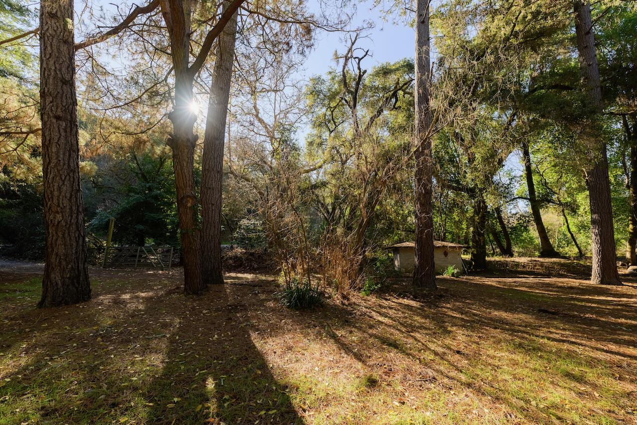 515 Lockhart Gulch Road Scotts Valley, CA 95066 - Photo 20 of 92