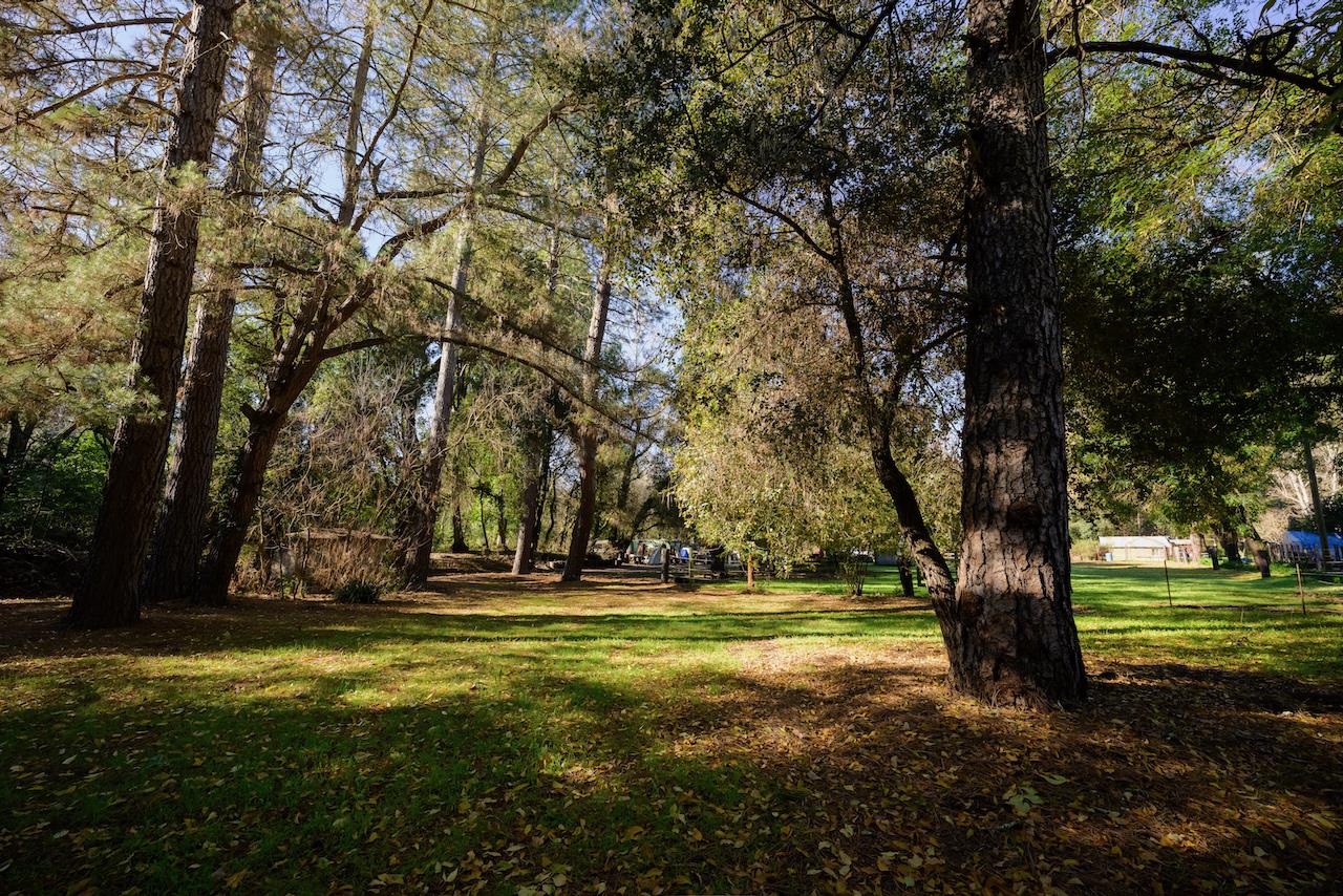 515 Lockhart Gulch Road Scotts Valley, CA 95066 - Photo 21 of 92