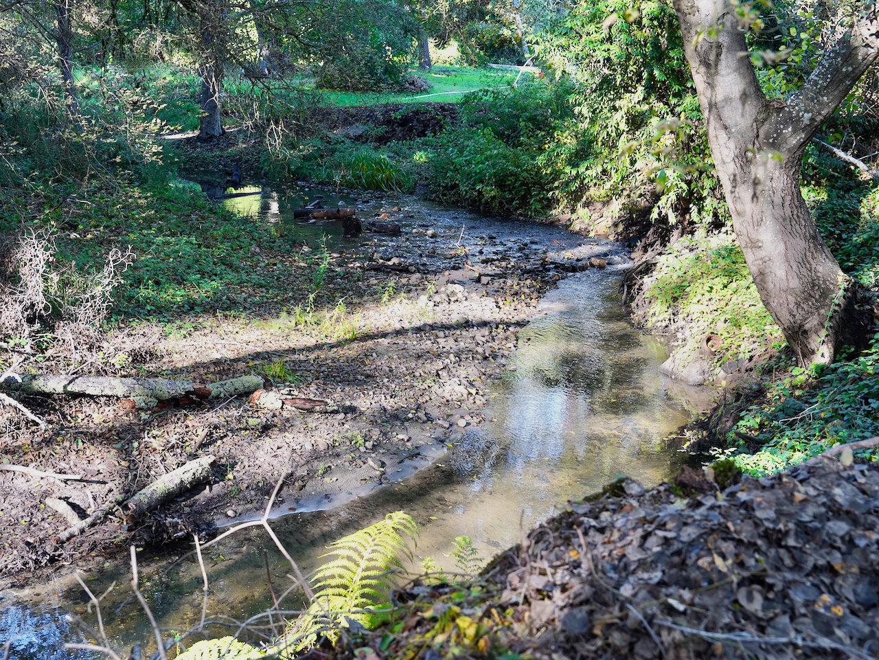 515 Lockhart Gulch Road Scotts Valley, CA 95066 - Photo 5 of 92