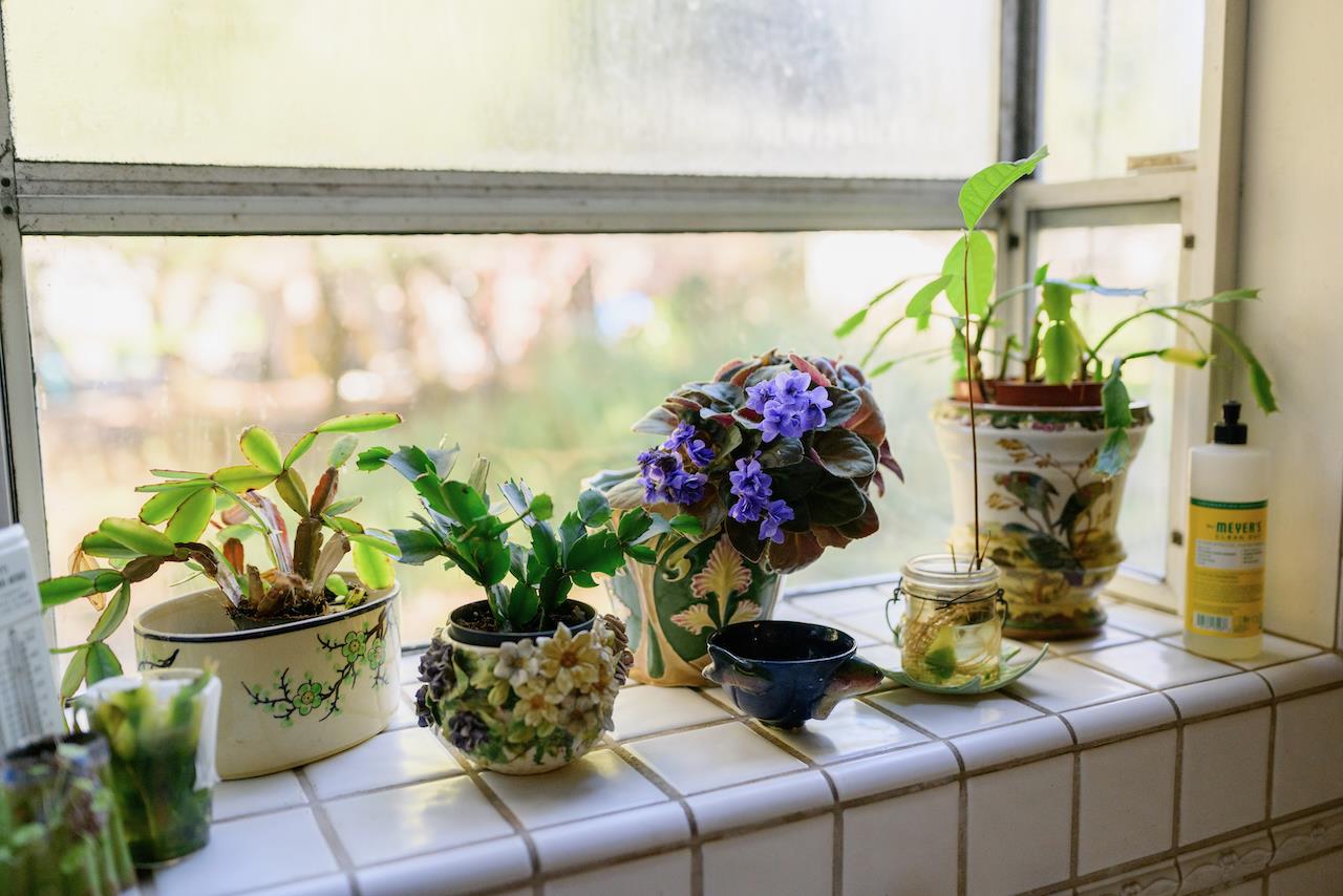 515 Lockhart Gulch Road Scotts Valley, CA 95066 - Photo 58 of 92