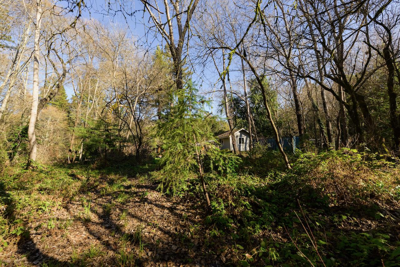 515 Lockhart Gulch Road Scotts Valley, CA 95066 - Photo 67 of 92