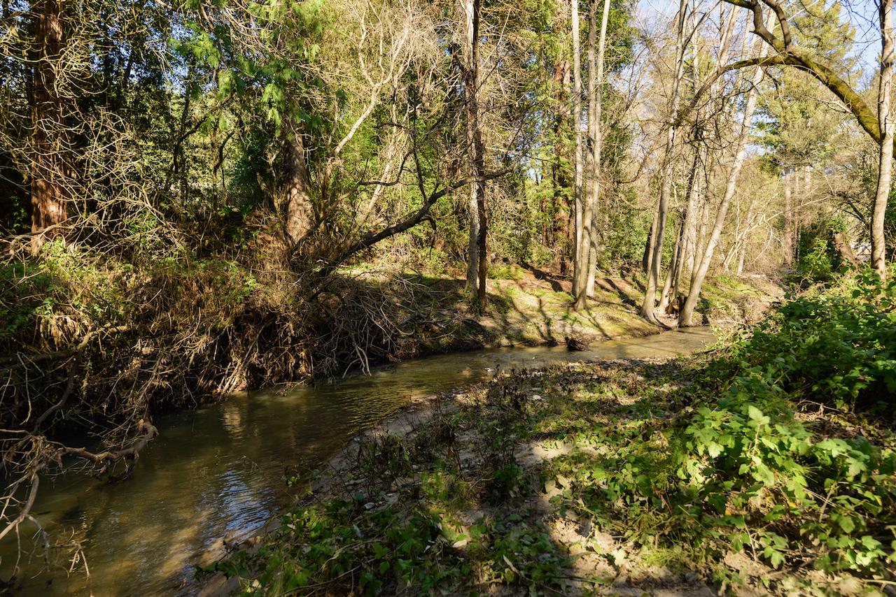 515 Lockhart Gulch Road Scotts Valley, CA 95066 - Photo 68 of 92