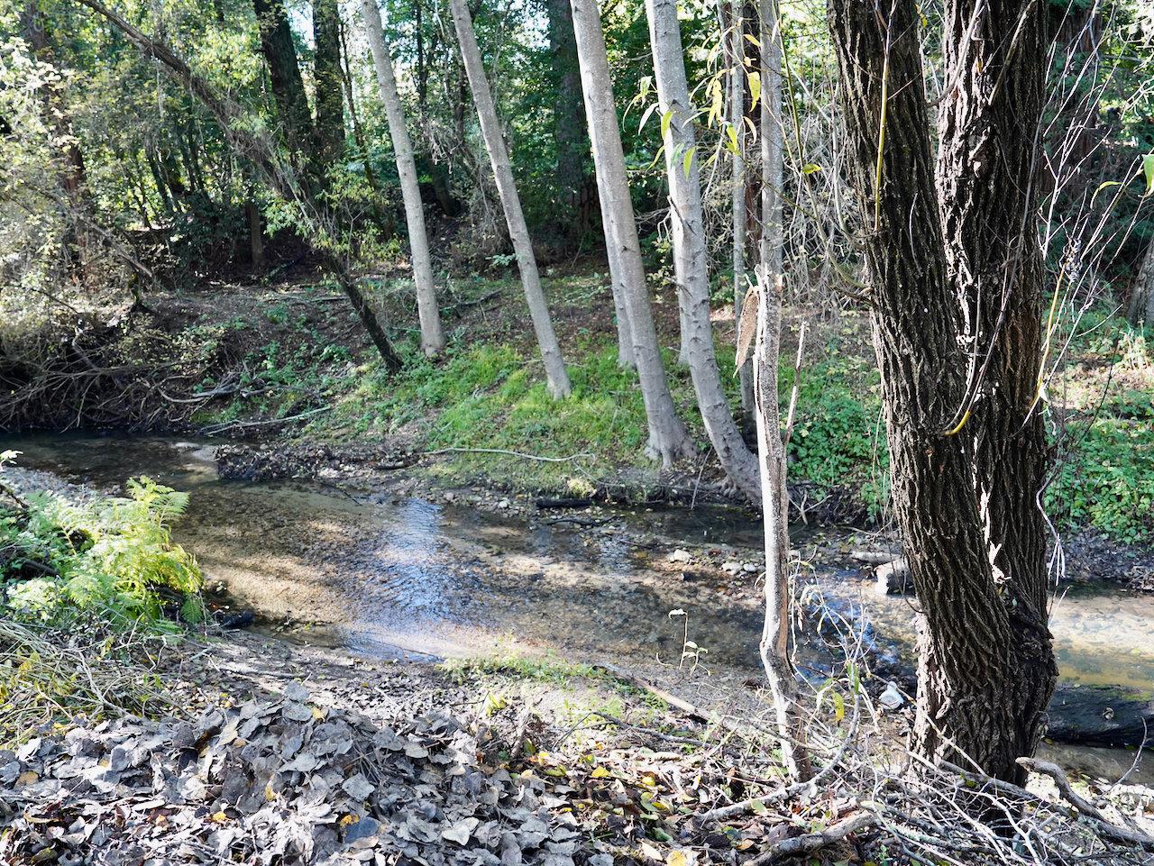 515 Lockhart Gulch Road Scotts Valley, CA 95066 - Photo 69 of 92