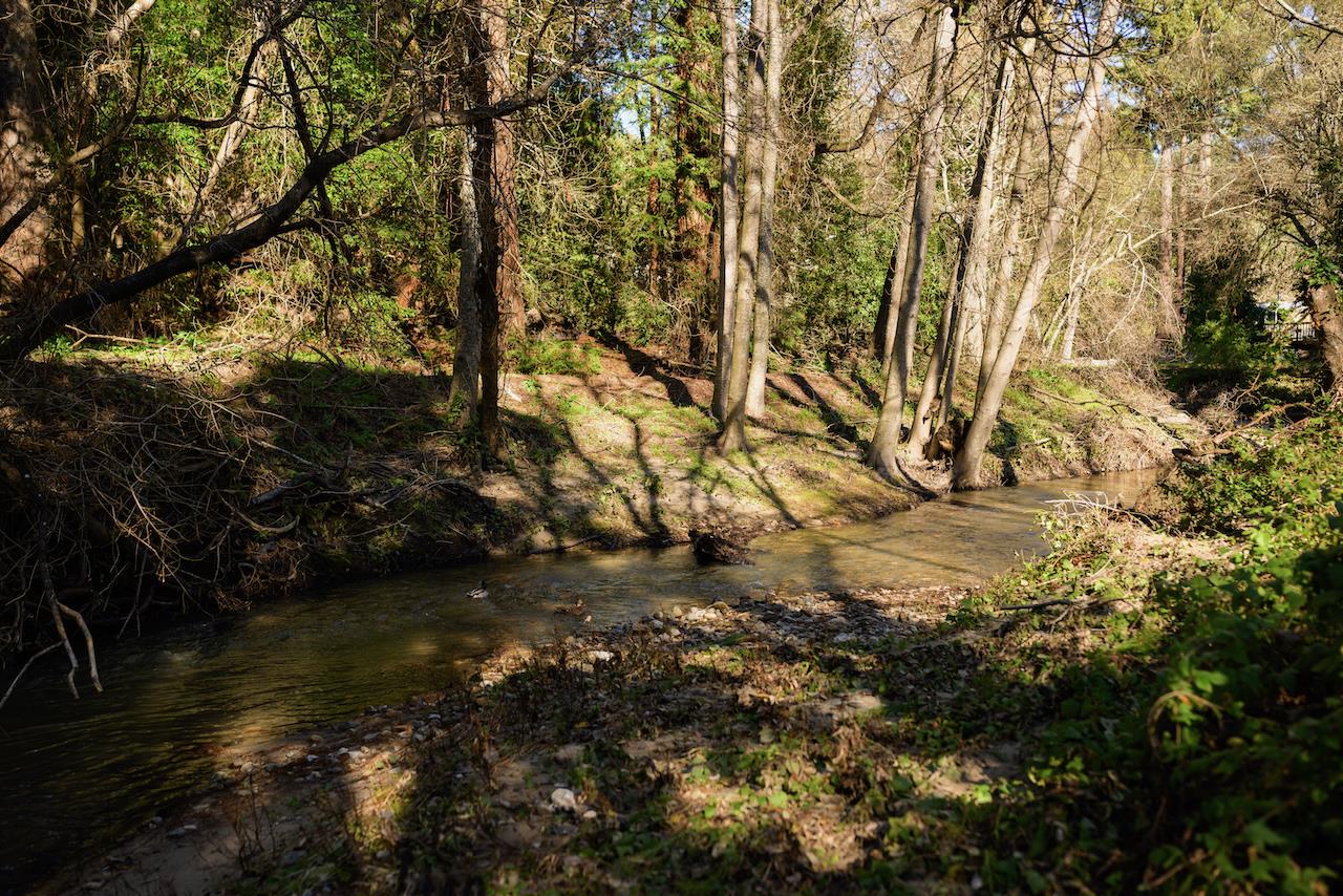 515 Lockhart Gulch Road Scotts Valley, CA 95066 - Photo 70 of 92