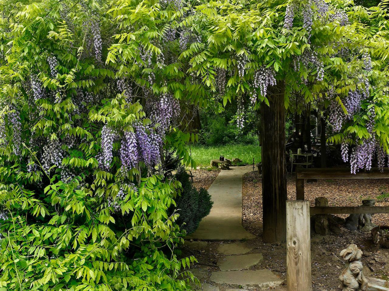 515 Lockhart Gulch Road Scotts Valley, CA 95066 - Photo 7 of 92