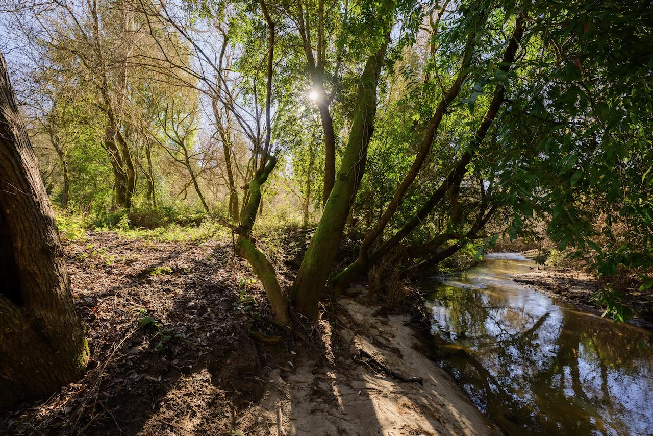 515 Lockhart Gulch Road Scotts Valley, CA 95066 - Photo 71 of 92