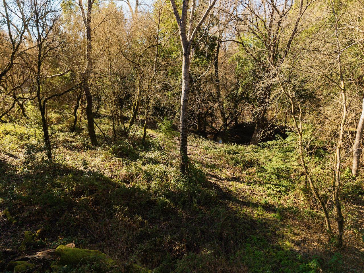 515 Lockhart Gulch Road Scotts Valley, CA 95066 - Photo 86 of 92