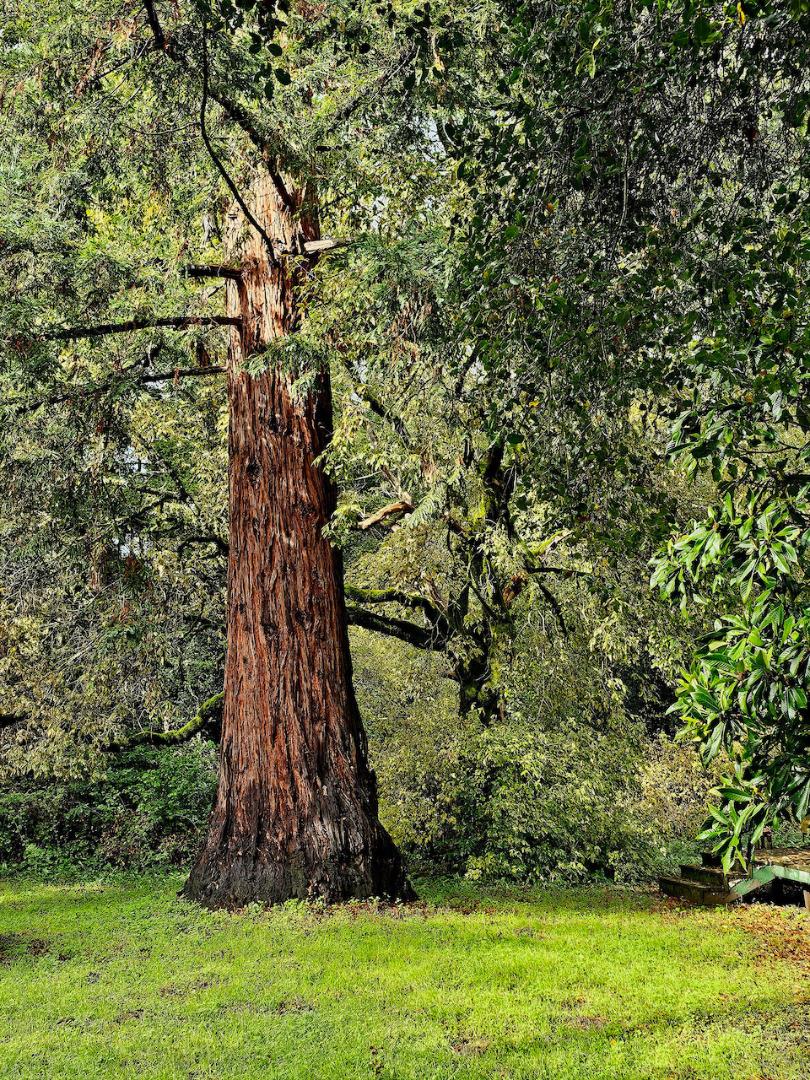 515 Lockhart Gulch Road Scotts Valley, CA 95066 - Photo 92 of 92