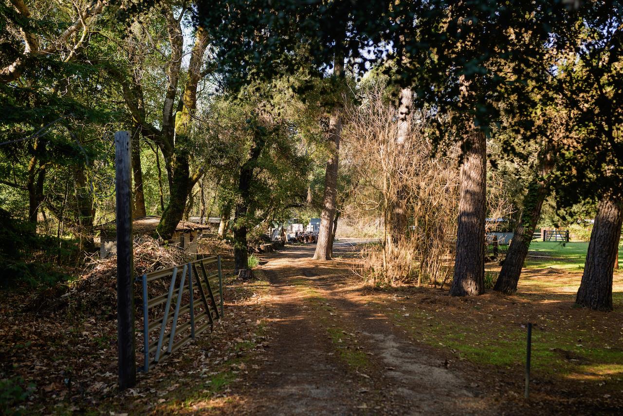 515 Lockhart Gulch Road Scotts Valley, CA 95066 - Photo 10 of 92