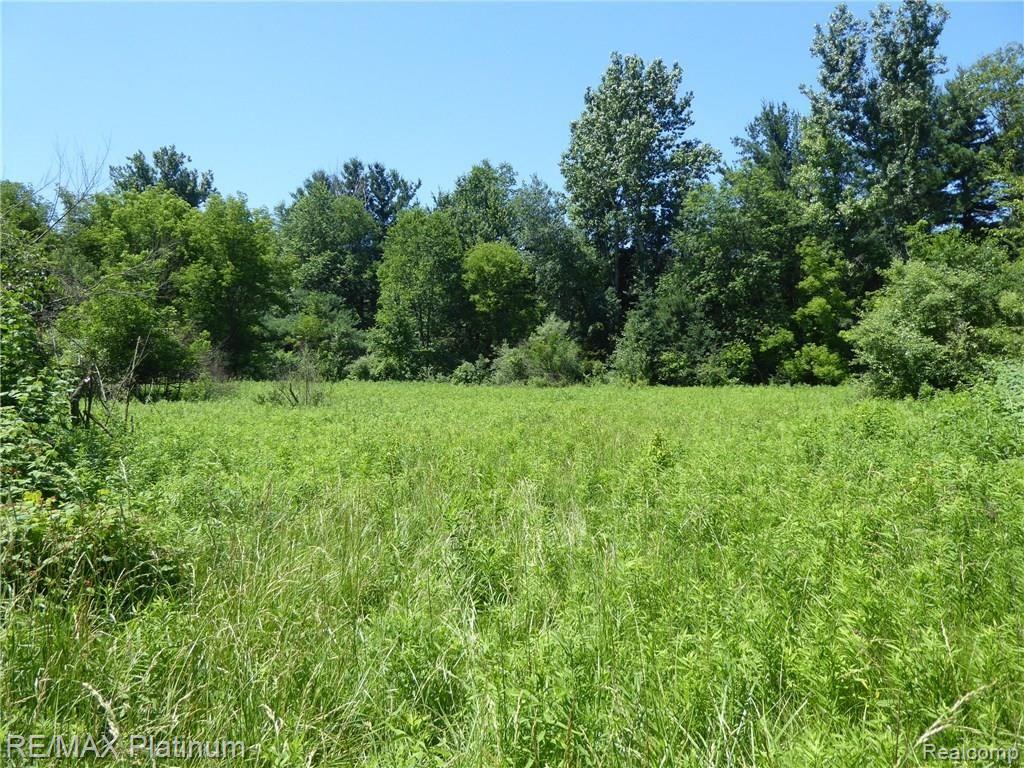 Vac Richardson Road Howell, MI 48843 - Photo 1 of 5