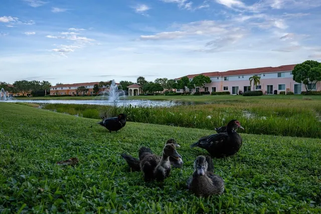 a view of a garden and outdoor space