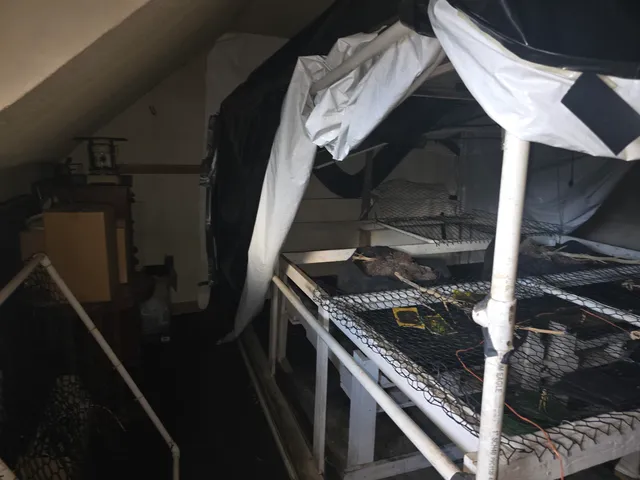 $300,000 | 552-554 Hinesburg Road, Brattleboro, VT 05301