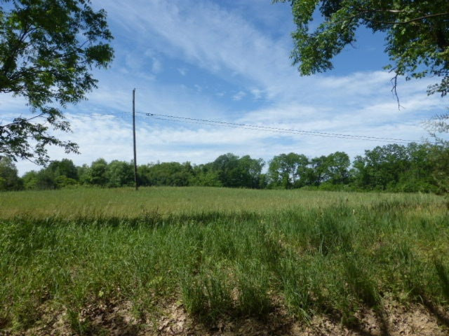 65720 Conrad Road Edwardsburg, MI 49112 - Photo 20 of 23 P1030857