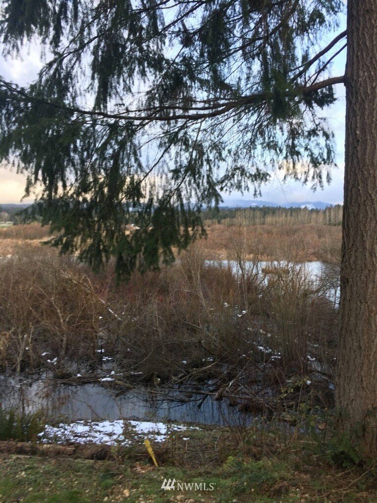 12103 La France Road Southwest Tumwater, WA 98512 - Photo 1 of 1 Gallery Image 1