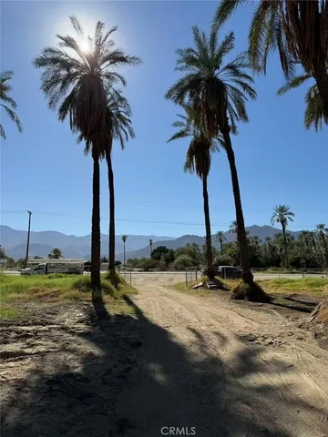 a view of three trees
