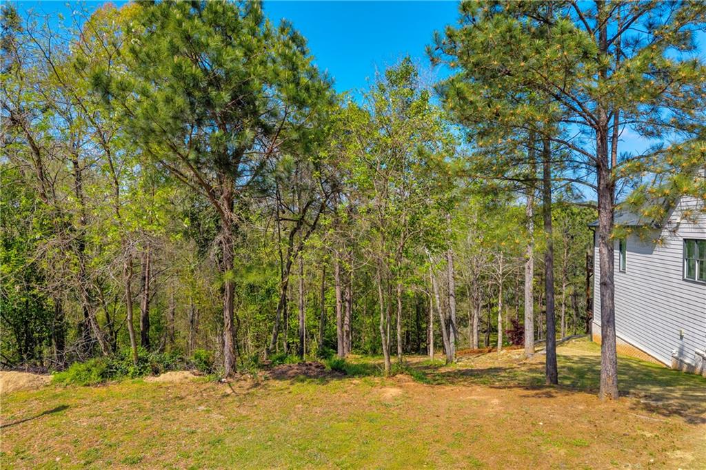 9153 Golfview Lane Covington, GA 30014 - Photo 6 of 10 a view of outdoor space with trees