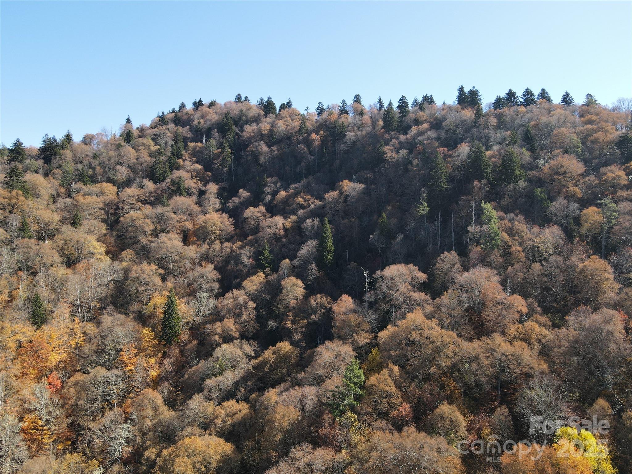 3837-3689 Plott Balsam Road Maggie Valley, NC 28751 - Photo 12 of 36 a view of a city