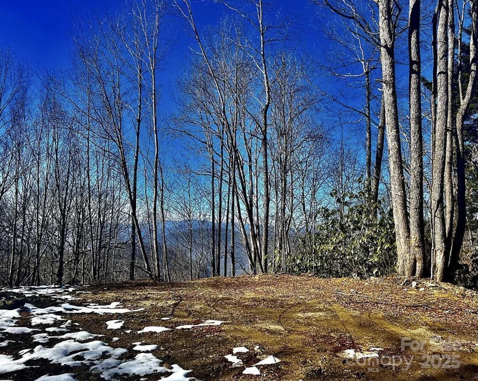3837-3689 Plott Balsam Road Maggie Valley, NC 28751 - Photo 2 of 36 a view of a backyard of the house