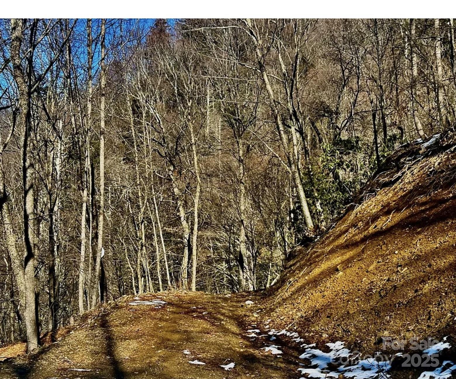 3837-3689 Plott Balsam Road Maggie Valley, NC 28751 - Photo 4 of 36