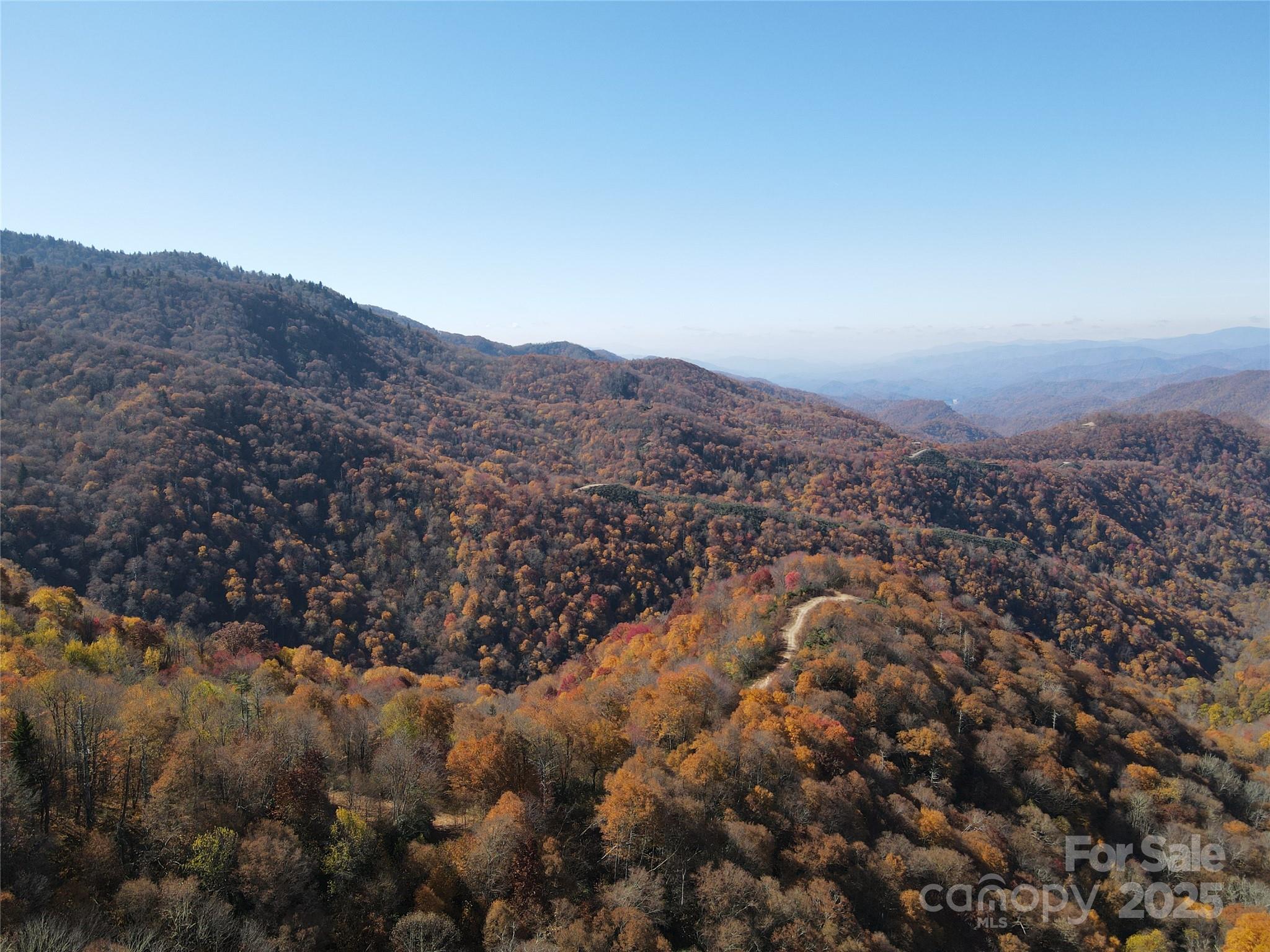 3837-3689 Plott Balsam Road Maggie Valley, NC 28751 - Photo 6 of 36 an aerial view of residential house and green space