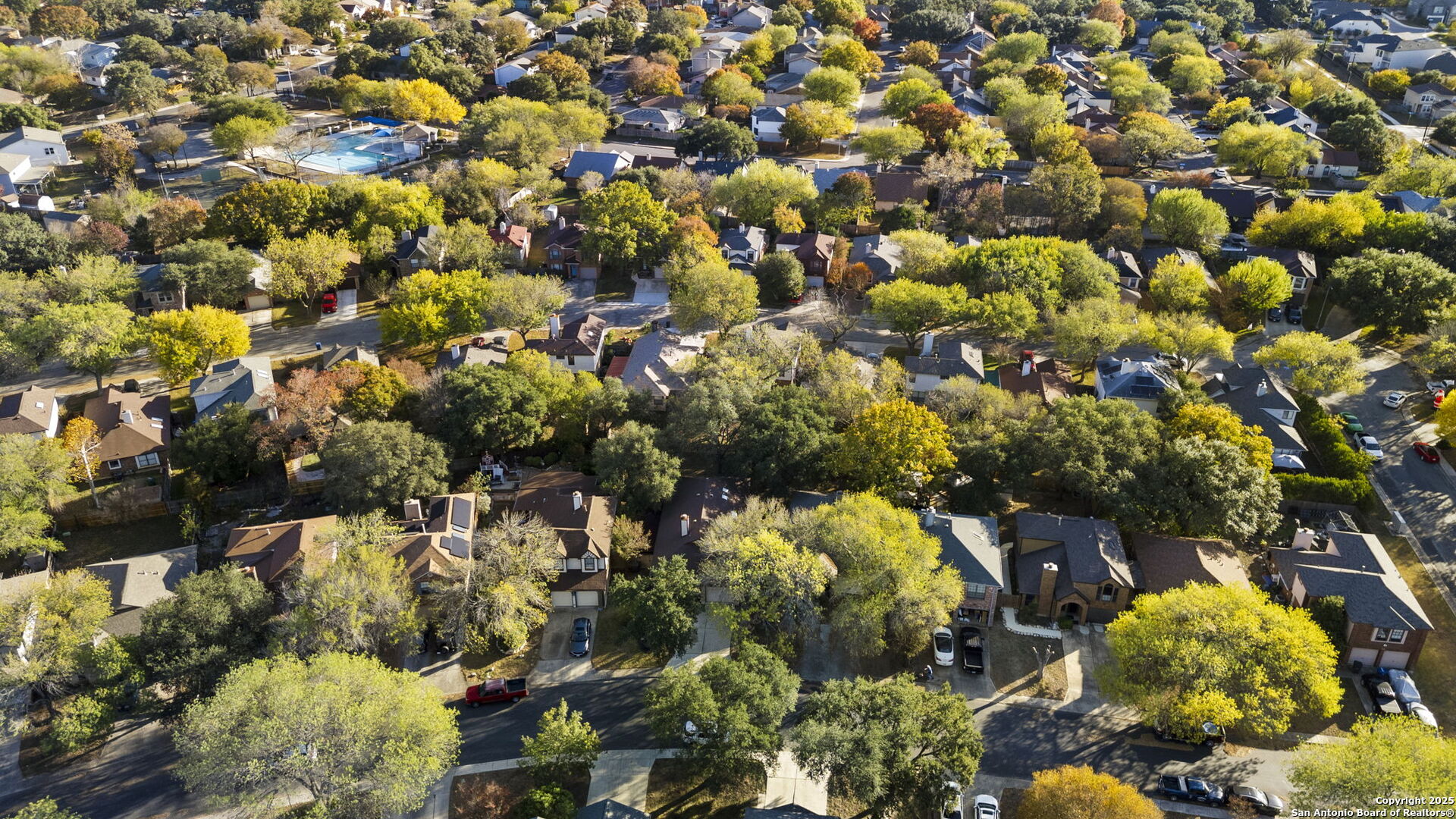 7562 Beaver Tree San Antonio, TX 78249 - Photo 30 of 30 a view of a bunch of flowers