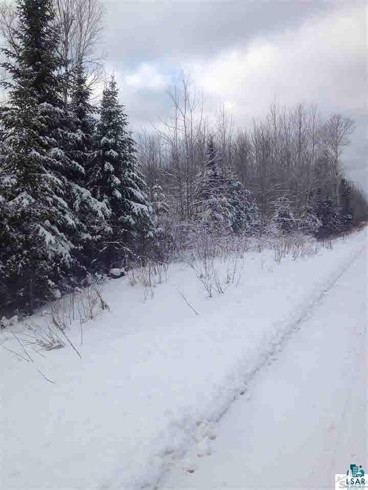 Xxx Blueberry Road Bayfield, WI 54814 - Photo 3 of 4 Gallery Image 3