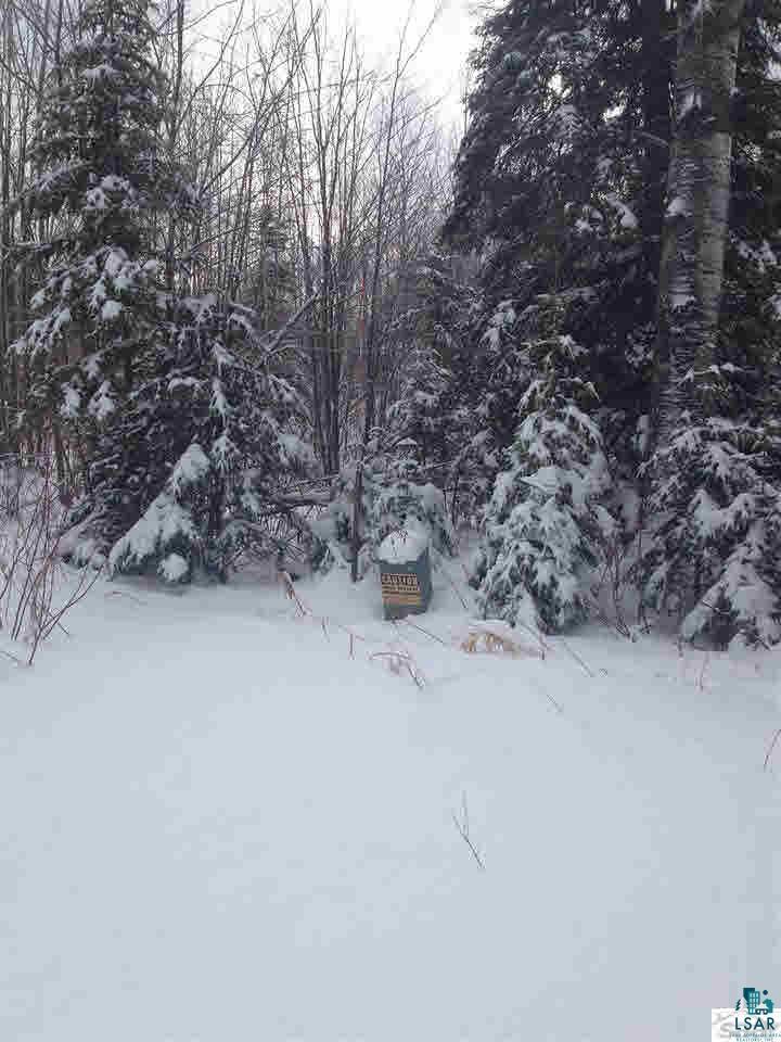Xxx Blueberry Road Bayfield, WI 54814 - Photo 4 of 4 Gallery Image 4