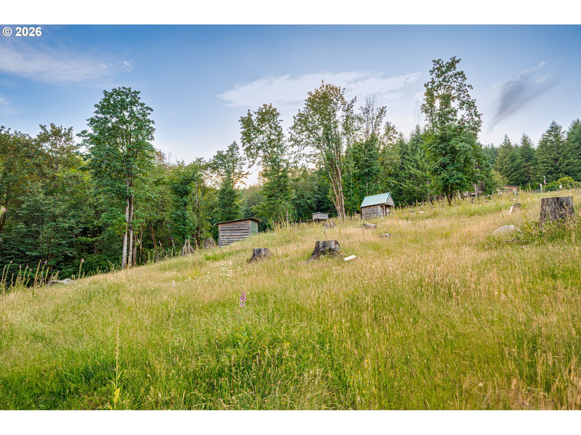 407 North Dubois Road Ariel, WA 98603 - Photo 42 of 44