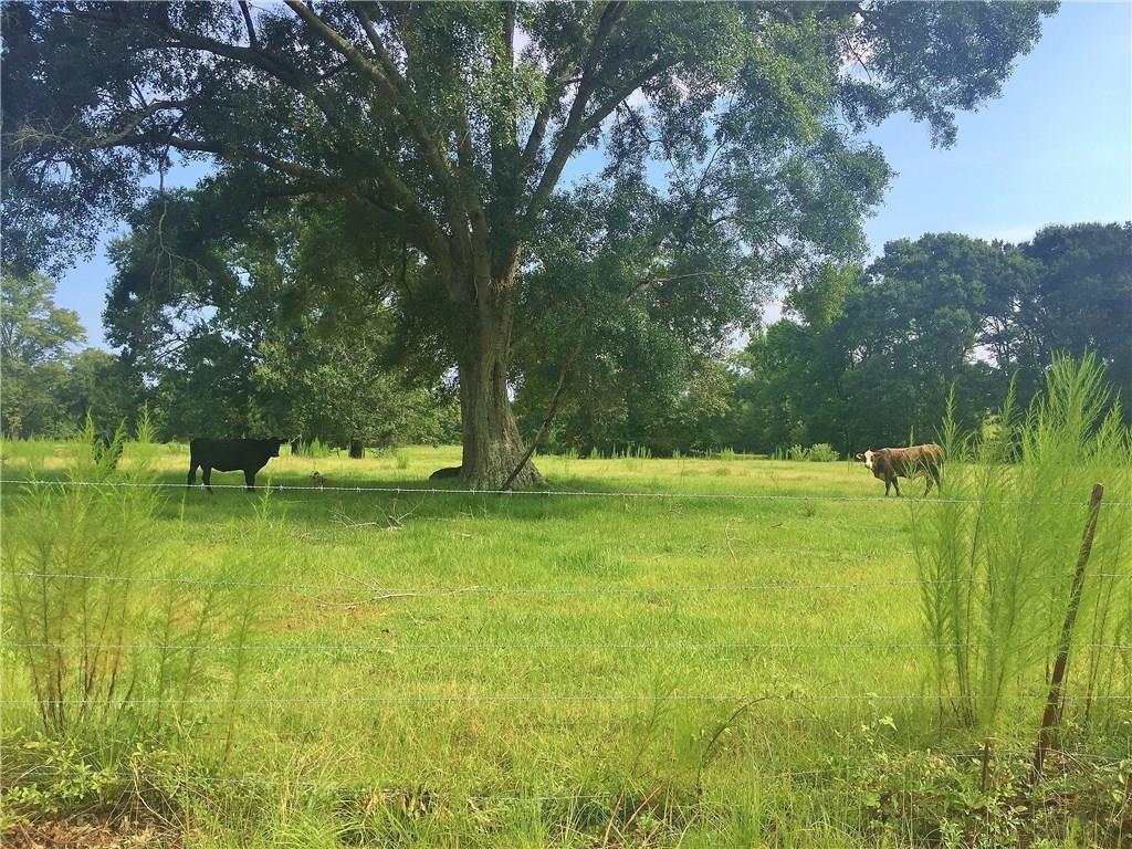 0 North Galloway Road Covington, LA 70435 - Photo 1 of 3