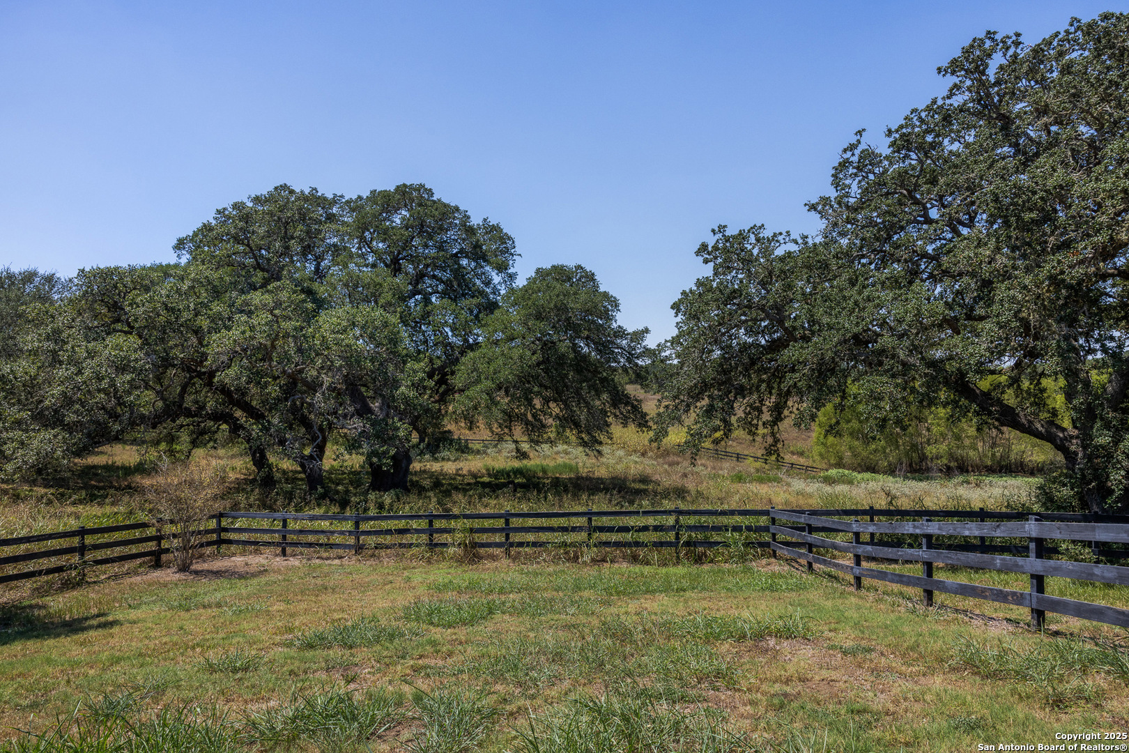 5450 Mazurek Road Schulenburg, TX 78956 - Photo 38 of 68 a view of backyard with trees