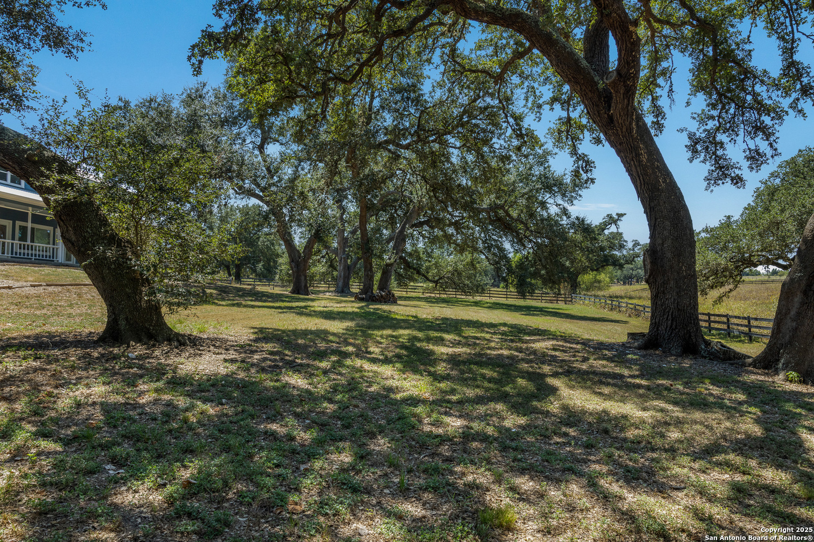 5450 Mazurek Road Schulenburg, TX 78956 - Photo 66 of 68 a view of a yard with a tree