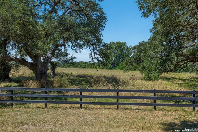 a view of a yard with large trees