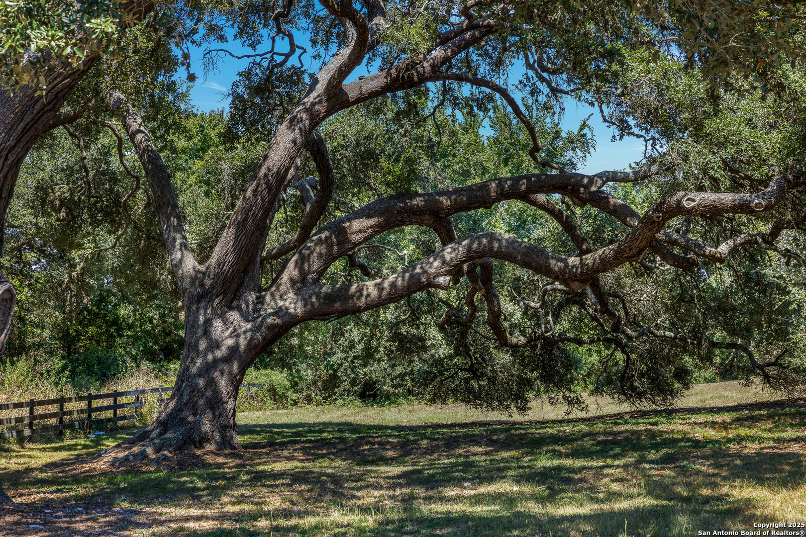 5450 Mazurek Road Schulenburg, TX 78956 - Photo 9 of 68 a view of a yard with large trees
