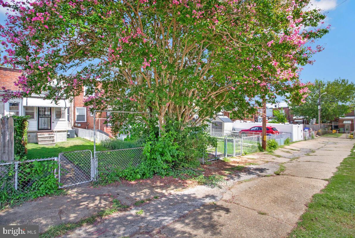 617 Annabel Avenue Baltimore, MD 21225 - Photo 40 of 40 a view of a park with large trees