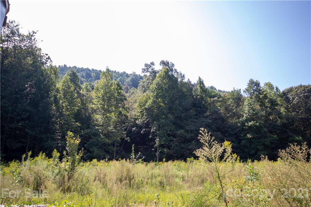 1870 Zacks Fork Road, Unit 7 Lenoir, NC 28645 - Photo 1 of 42 Gallery Image 1