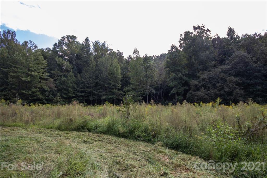 1870 Zacks Fork Road, Unit 7 Lenoir, NC 28645 - Photo 2 of 42 Gallery Image 2