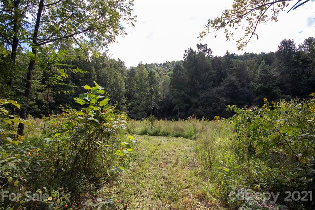 1870 Zacks Fork Road, Unit 7 Lenoir, NC 28645 - Photo 13 of 42 Gallery Image 13