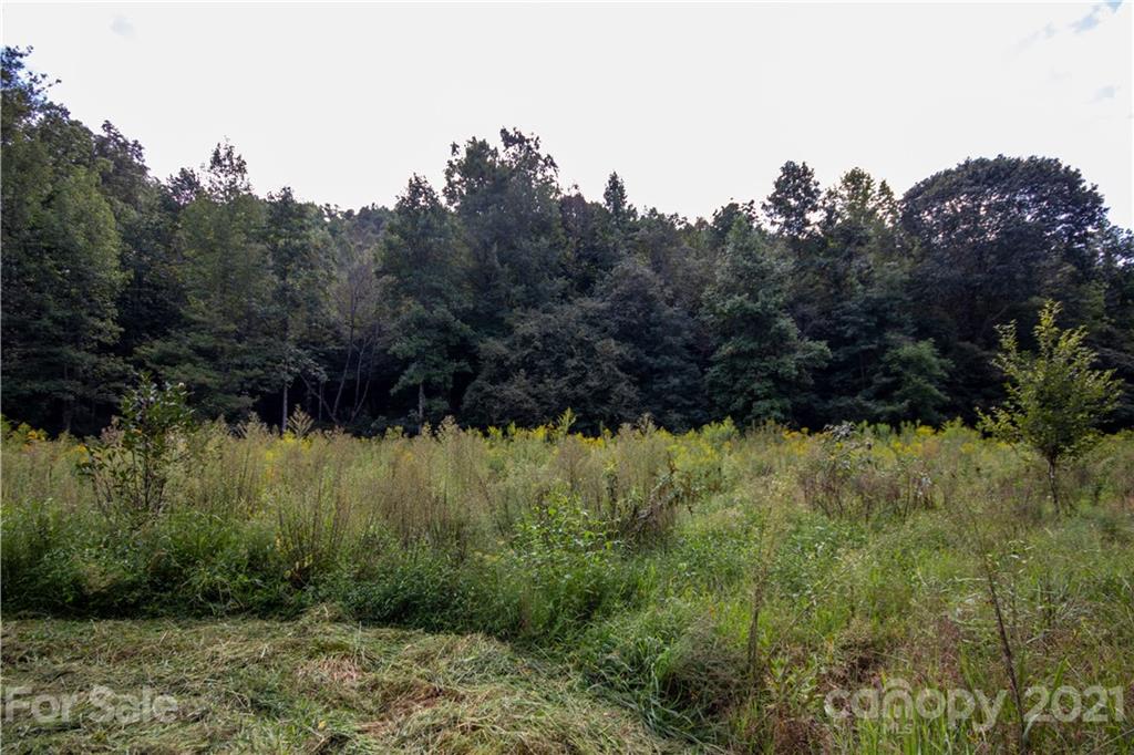 1870 Zacks Fork Road, Unit 7 Lenoir, NC 28645 - Photo 14 of 42 Gallery Image 14
