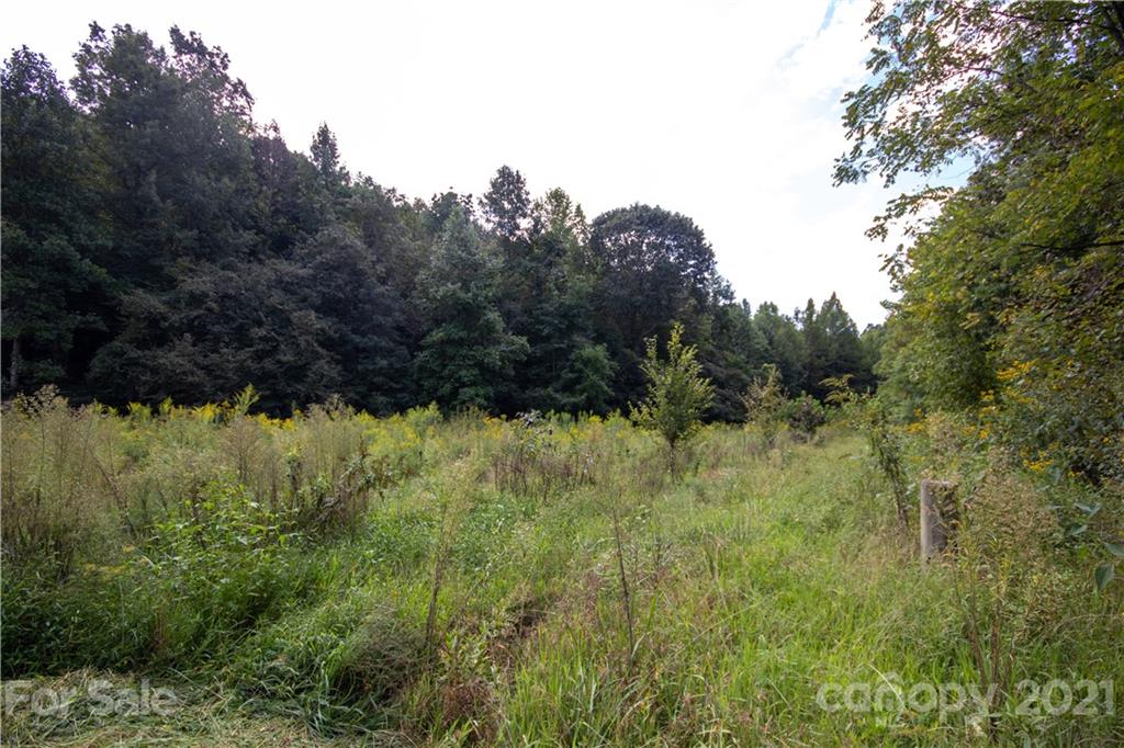 1870 Zacks Fork Road, Unit 7 Lenoir, NC 28645 - Photo 4 of 42 Gallery Image 4