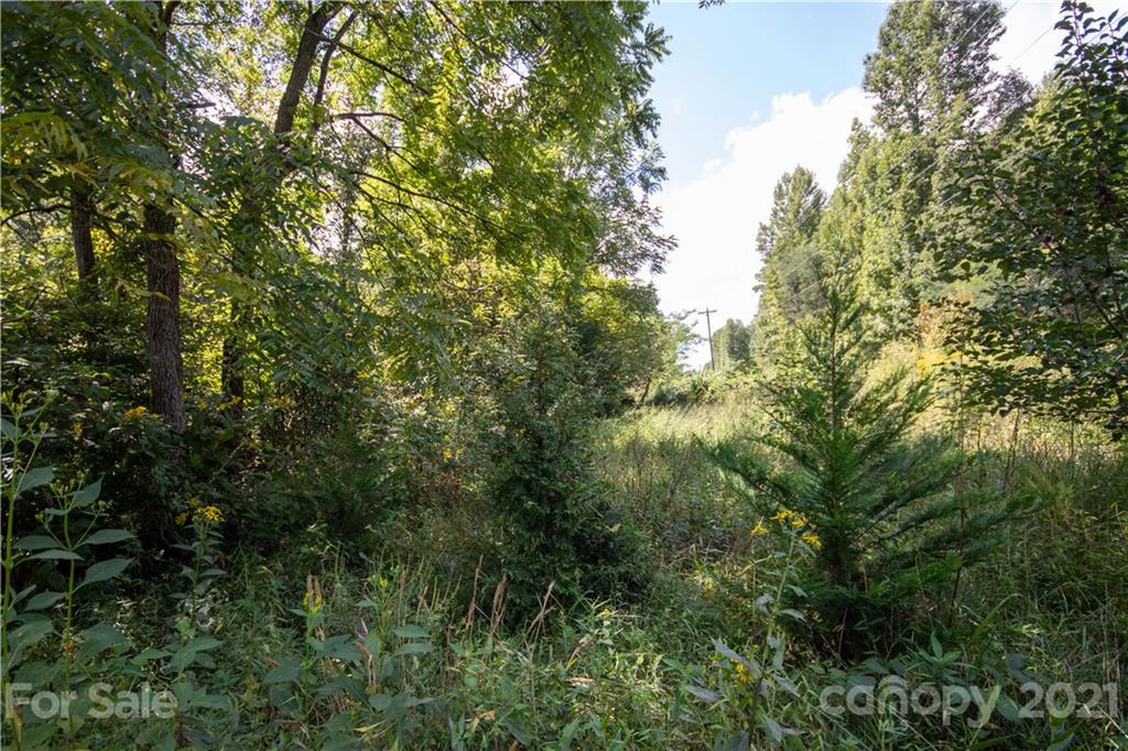 1870 Zacks Fork Road, Unit 7 Lenoir, NC 28645 - Photo 36 of 42 Gallery Image 36
