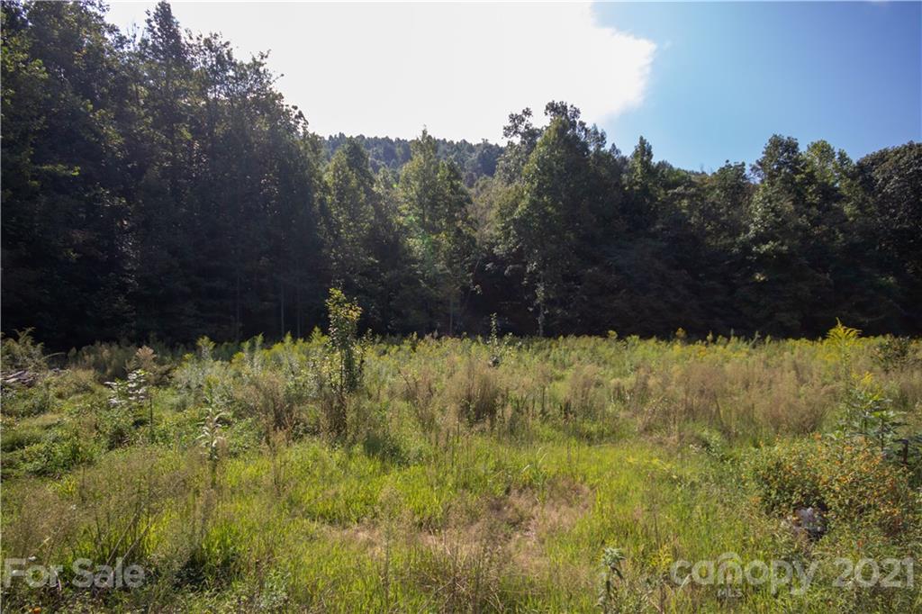 1870 Zacks Fork Road, Unit 7 Lenoir, NC 28645 - Photo 6 of 42 Gallery Image 6