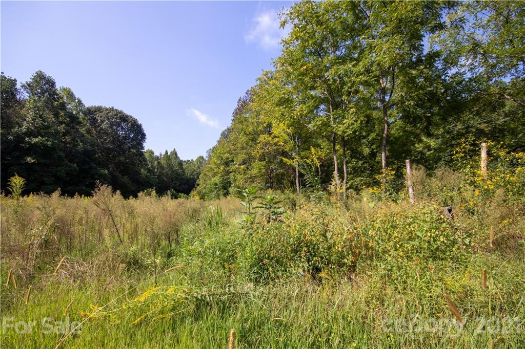1870 Zacks Fork Road, Unit 7 Lenoir, NC 28645 - Photo 7 of 42 Gallery Image 7