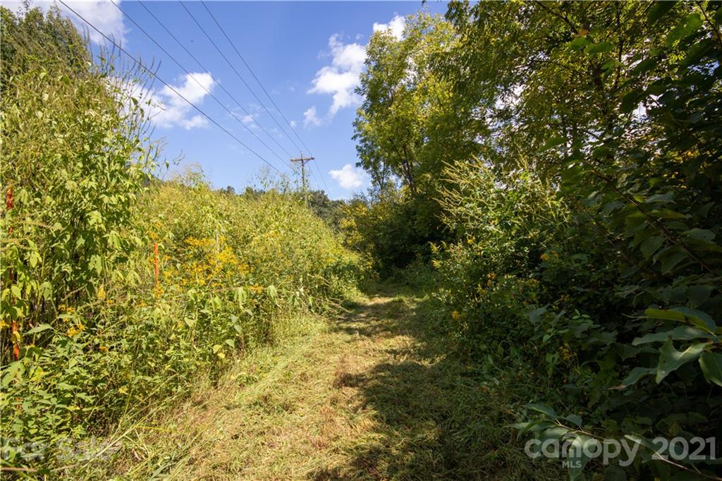 1870 Zacks Fork Road, Unit 7 Lenoir, NC 28645 - Photo 8 of 42 Gallery Image 8