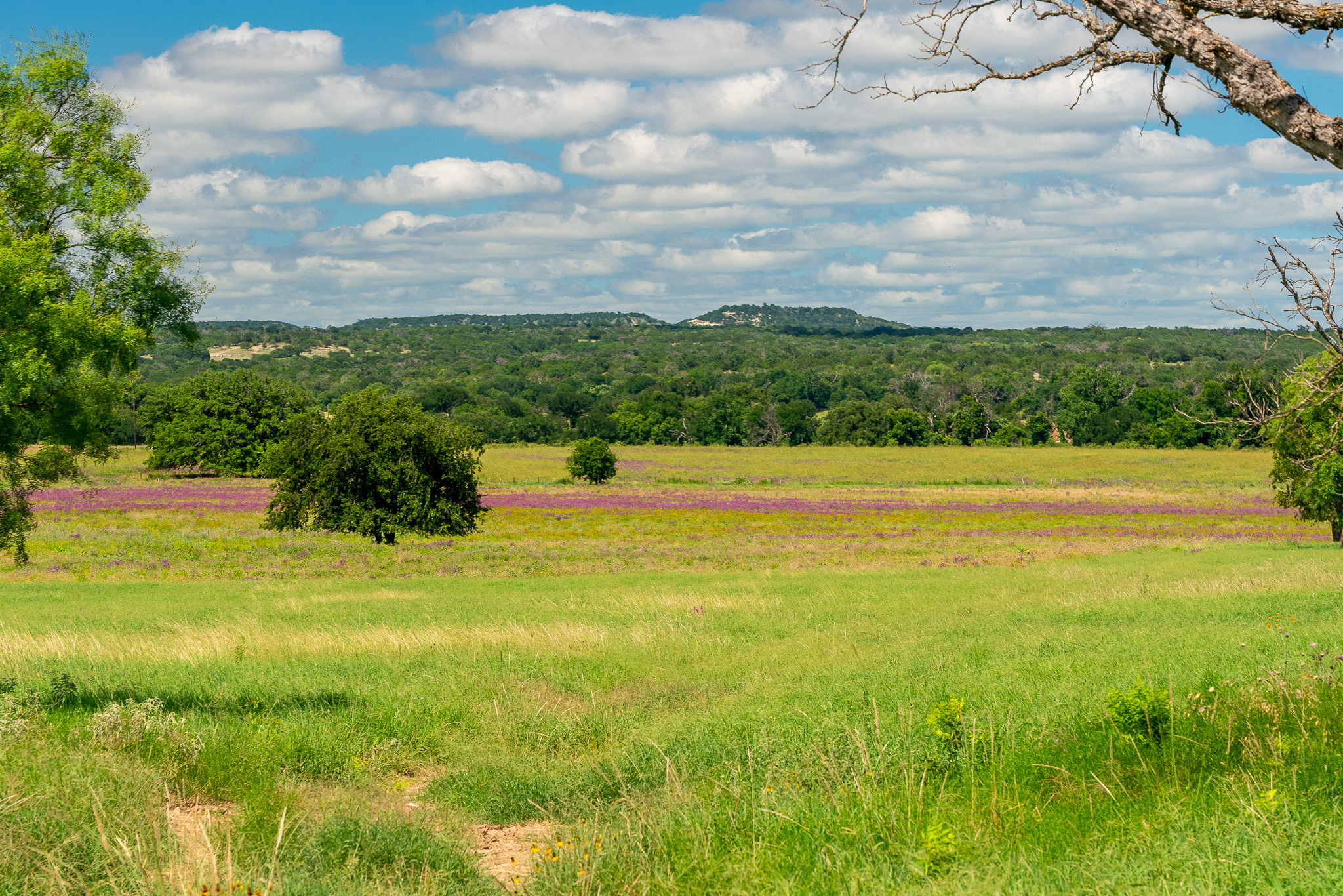 8044 580th Street East Kempner, TX 76539 - Photo 18 of 40 Rolling hillsides and verdant fields create a picturesque country setting.