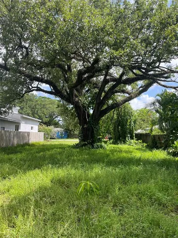 a view of a big yard with plants and large trees