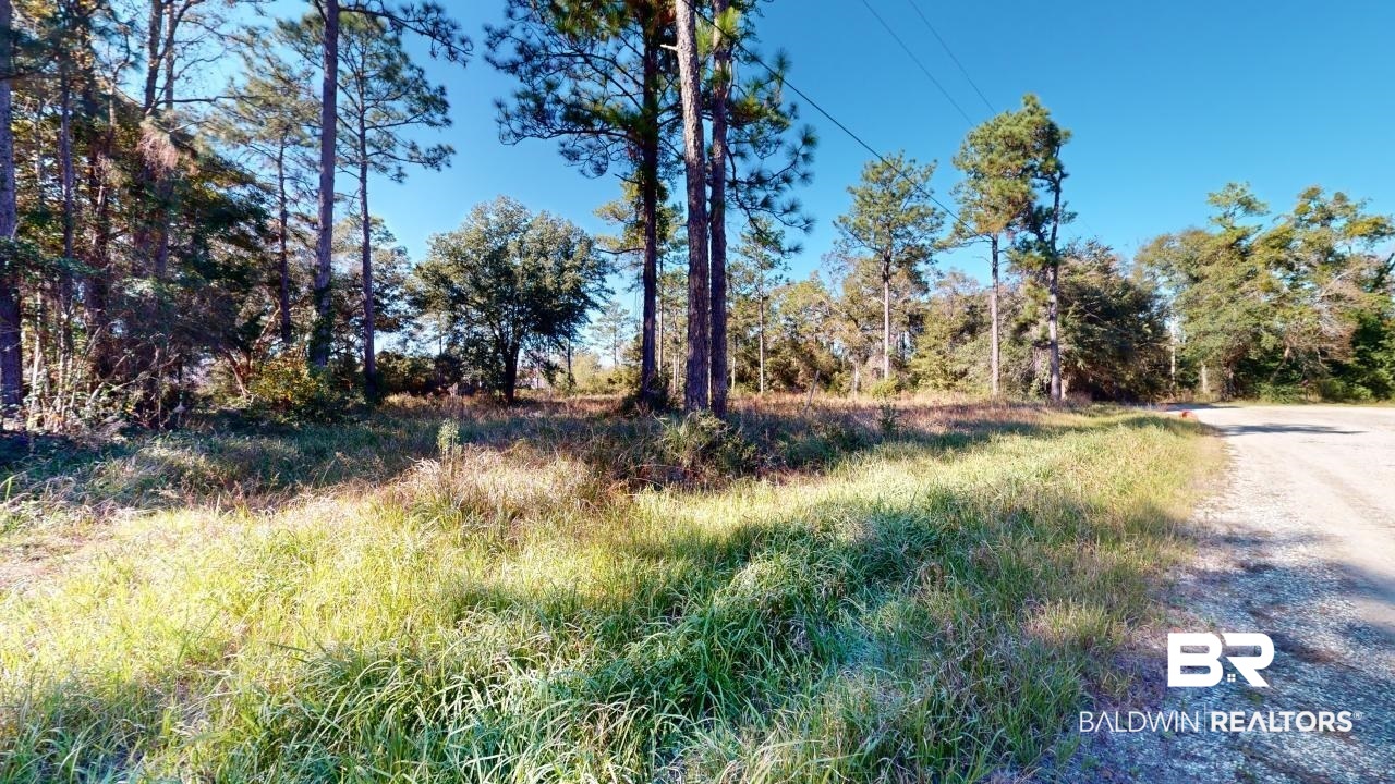 803 Ashford Road Mobile, AL 36608 - Photo 5 of 7 View of road