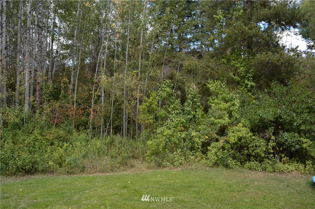 71 Poorman Creek Road Twisp, WA 98856 - Photo 18 of 19 Gallery Image 18