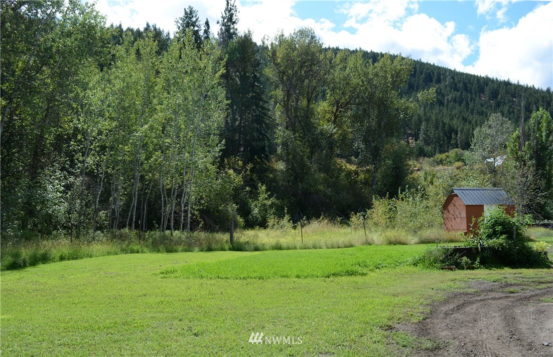 71 Poorman Creek Road Twisp, WA 98856 - Photo 4 of 19 Gallery Image 4
