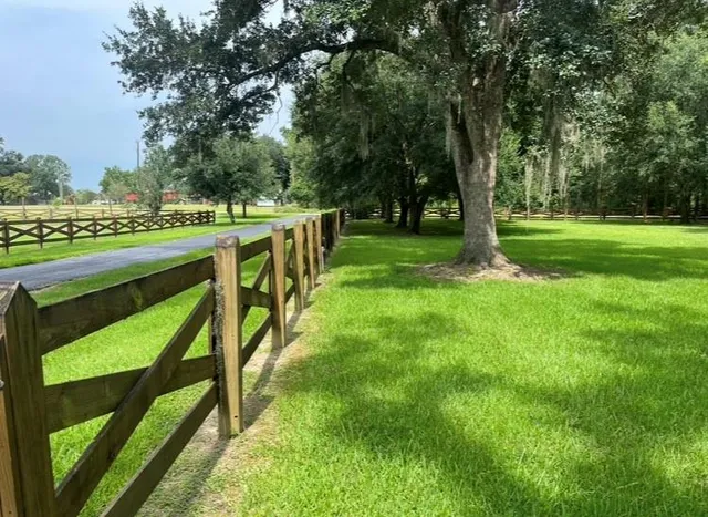 $225,000 | Bd-2 Meisner Road, Springfield, LA 70462