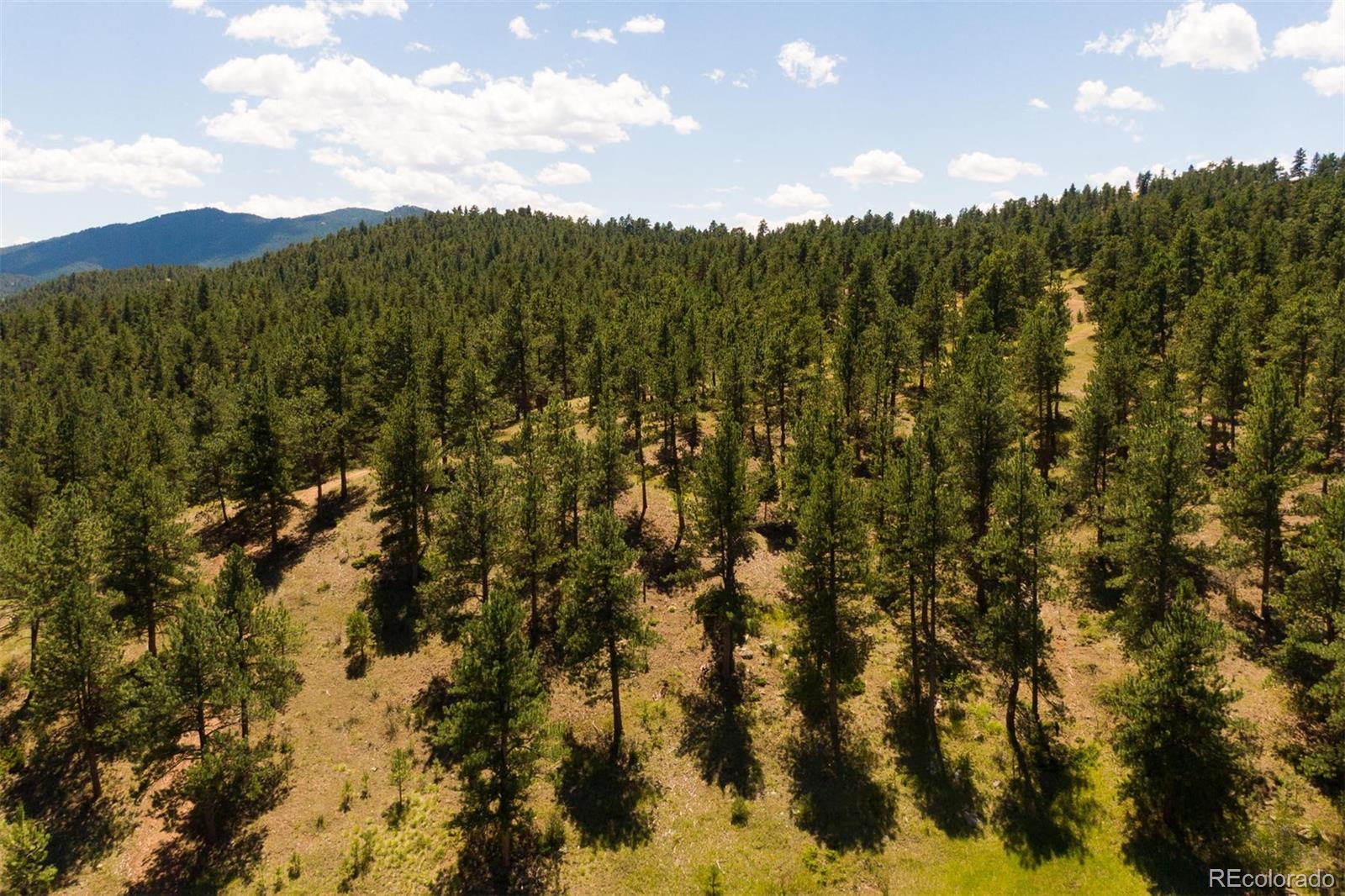 2345 Legacy Ranch Road Evergreen, CO 80439 - Photo 11 of 12 a view of a city